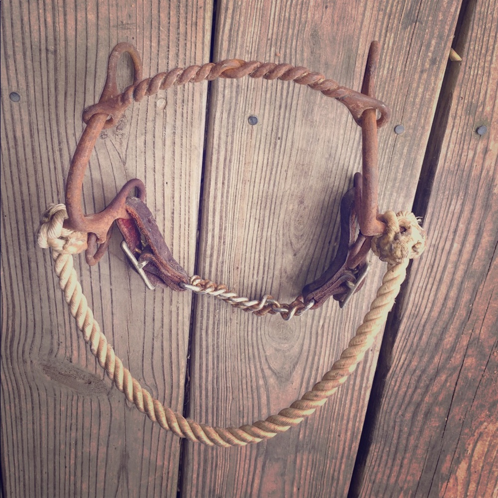 Combination Twisted Wire Gag Bit